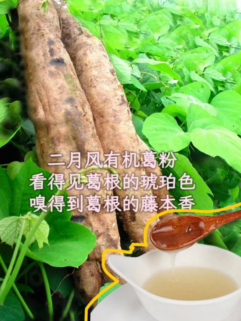 二月風(fēng)有機(jī)葛粉，看得見(jiàn)葛根的琥珀色，嗅得到葛根的藤本香_800.jpg