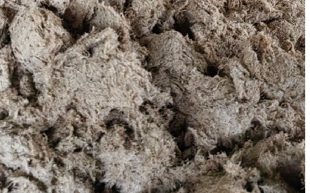 深入大洪山，只為一口純凈 -二月風(fēng)今冬野生葛根收購紀(jì)實